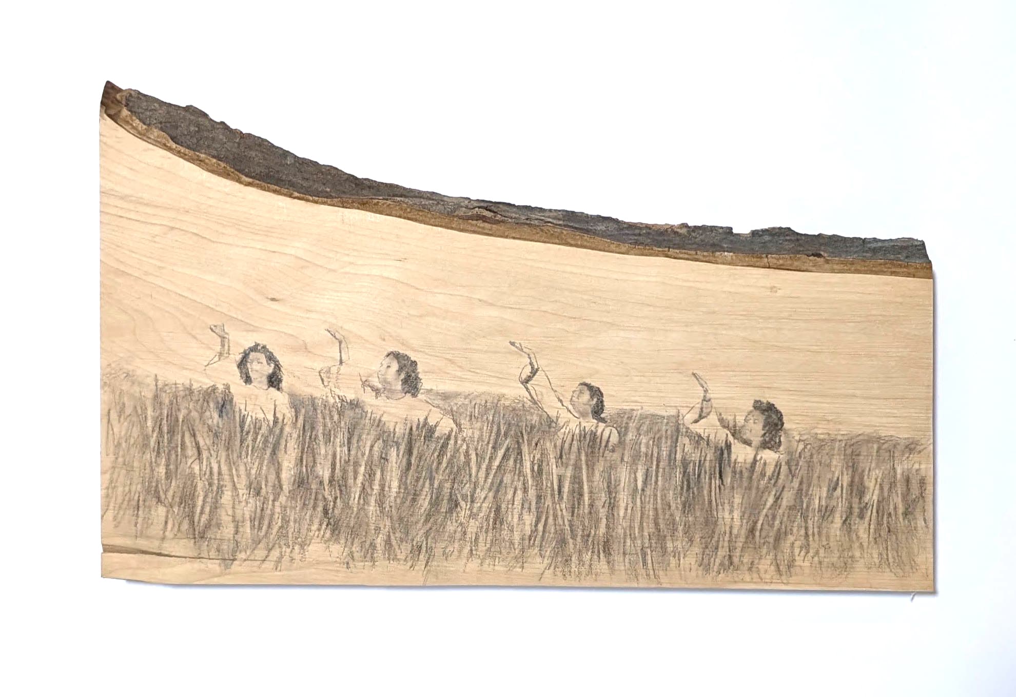 רוקדות בשדות