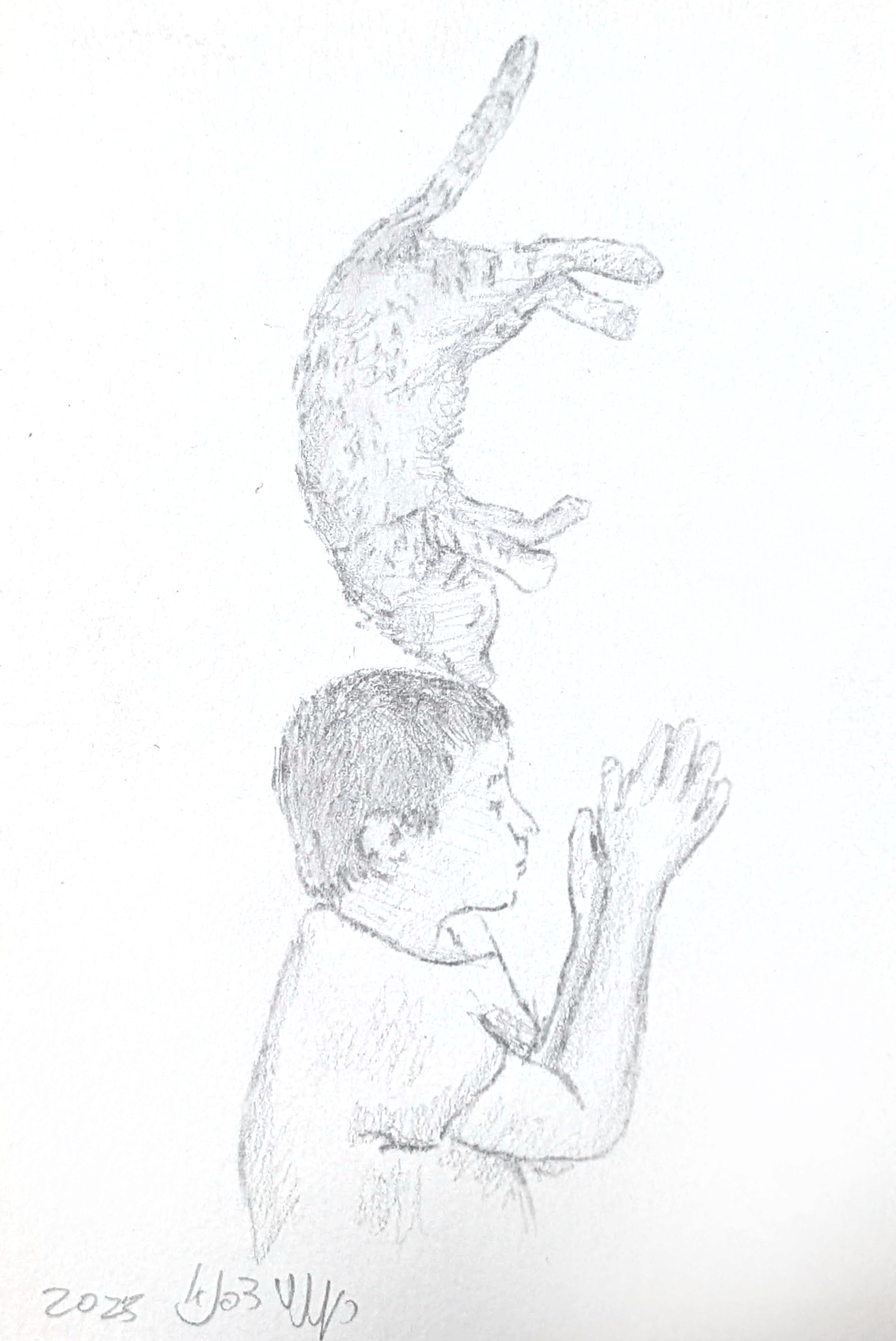 אילון וחתול - גלויה